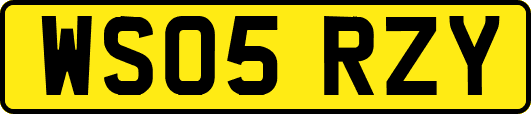 WS05RZY
