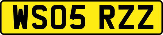 WS05RZZ