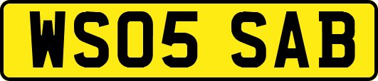 WS05SAB