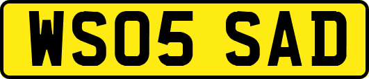 WS05SAD