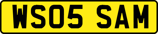 WS05SAM