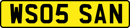WS05SAN