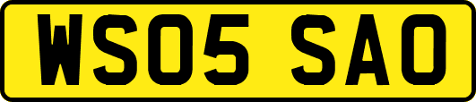 WS05SAO