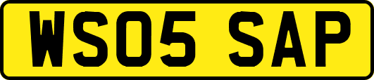 WS05SAP