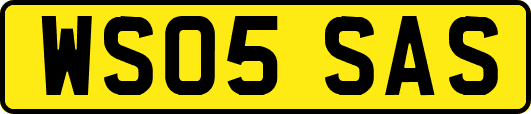 WS05SAS