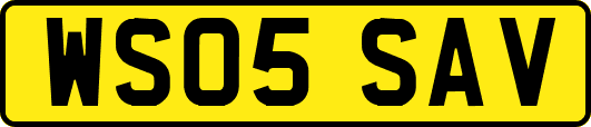 WS05SAV