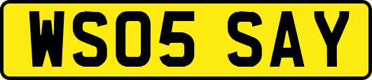 WS05SAY