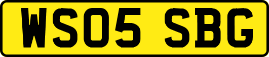 WS05SBG