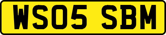 WS05SBM