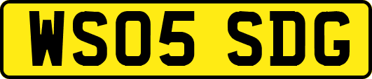 WS05SDG