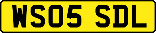 WS05SDL