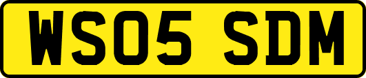 WS05SDM