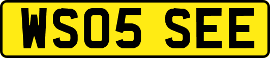 WS05SEE