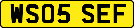 WS05SEF