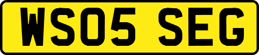 WS05SEG