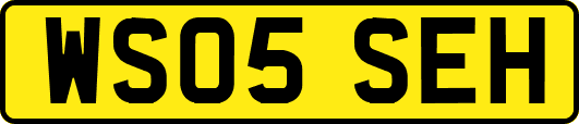 WS05SEH