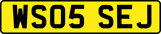 WS05SEJ