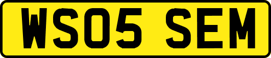 WS05SEM
