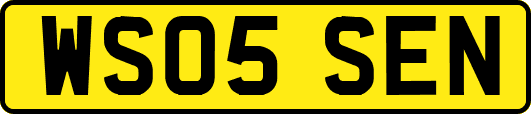 WS05SEN
