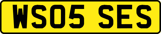 WS05SES