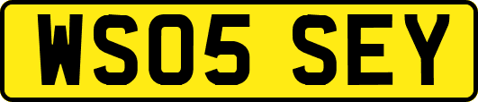 WS05SEY