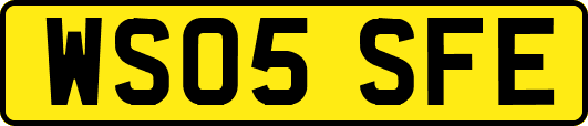 WS05SFE