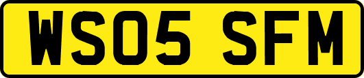 WS05SFM