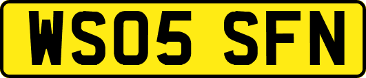 WS05SFN