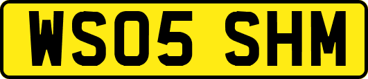 WS05SHM