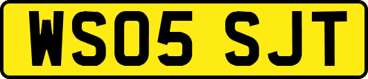 WS05SJT
