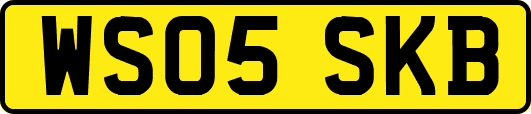 WS05SKB