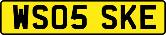 WS05SKE