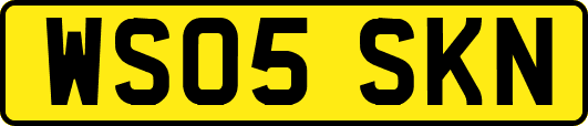 WS05SKN