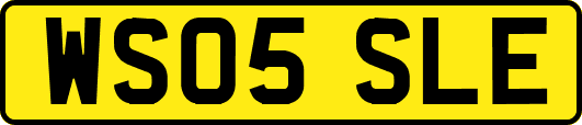WS05SLE