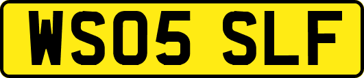 WS05SLF