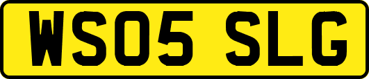 WS05SLG