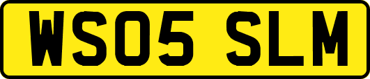 WS05SLM