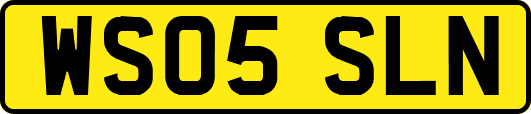 WS05SLN