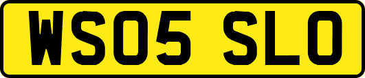 WS05SLO