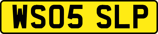 WS05SLP