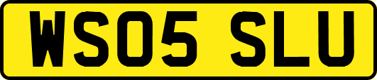 WS05SLU