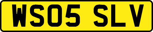 WS05SLV