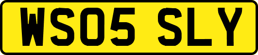 WS05SLY