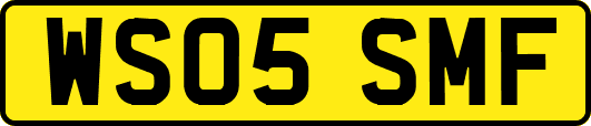 WS05SMF