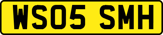 WS05SMH