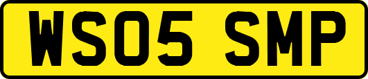 WS05SMP