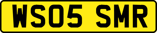 WS05SMR