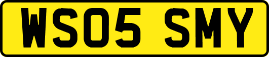 WS05SMY