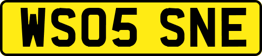 WS05SNE