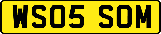 WS05SOM